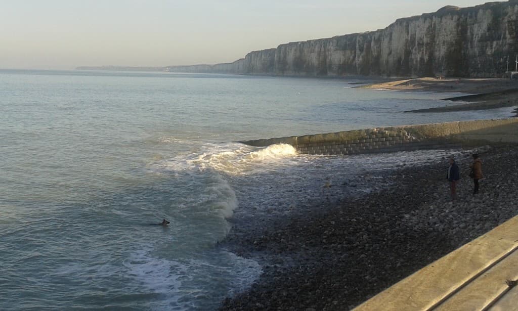plage ensoleillée