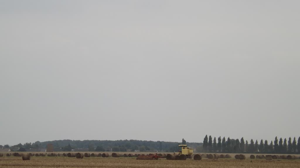 Septembre dans les champs de Normandie