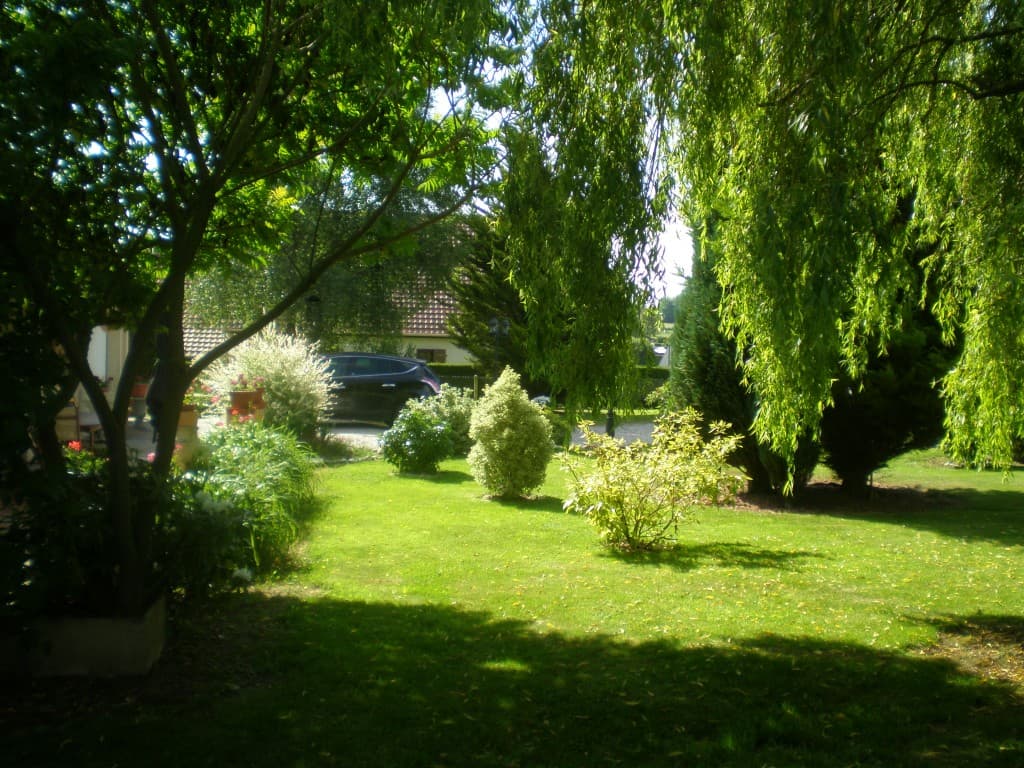 jardin anglais