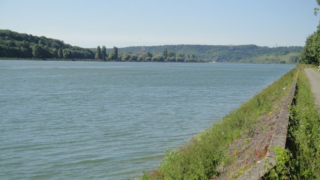 La SEINE a SAINT MARTIN DE BOSCHERVILLE