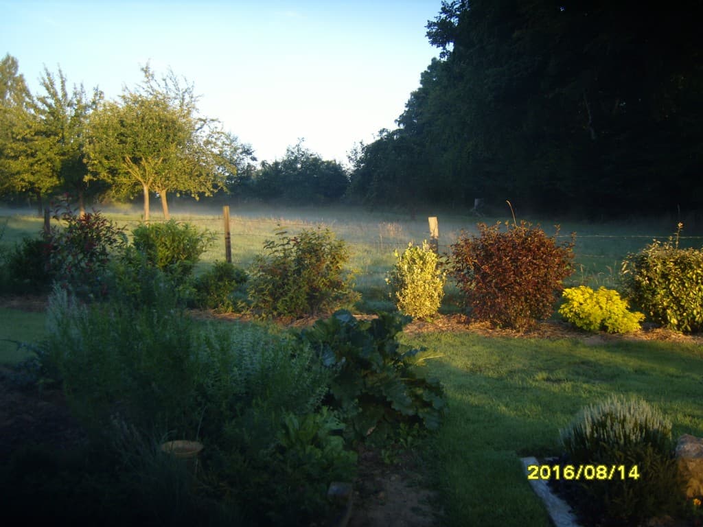 Brume matinale