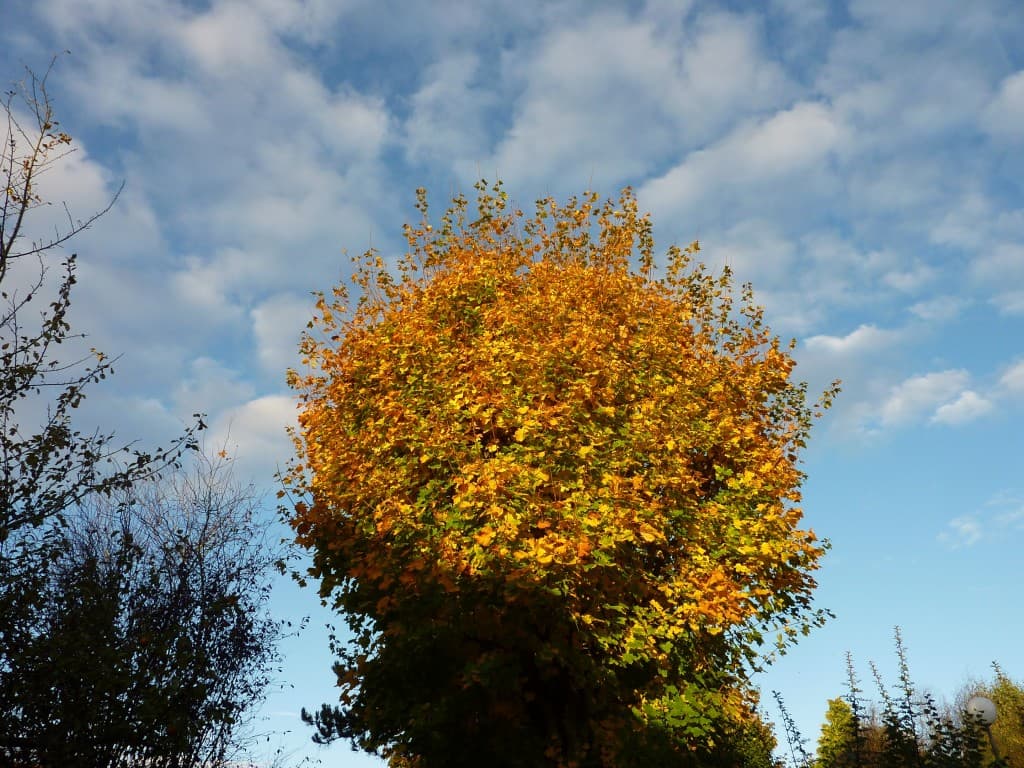Ciel et couleurs d'automne en Normandie