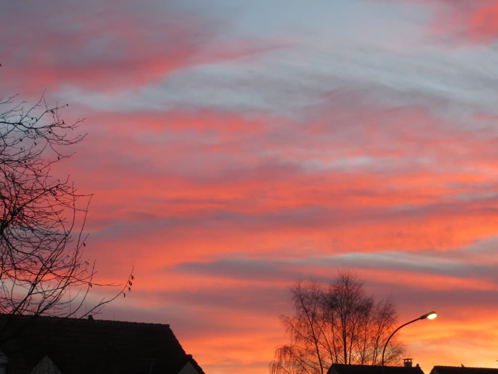 Couleurs du matin