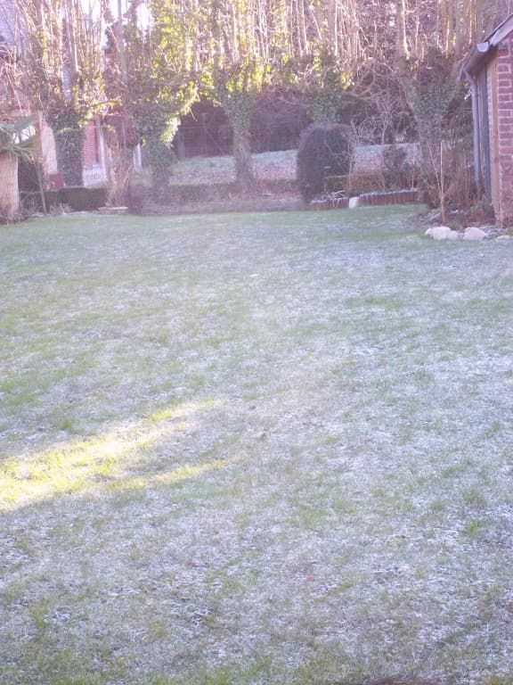 Gelée blanche et froid soleil