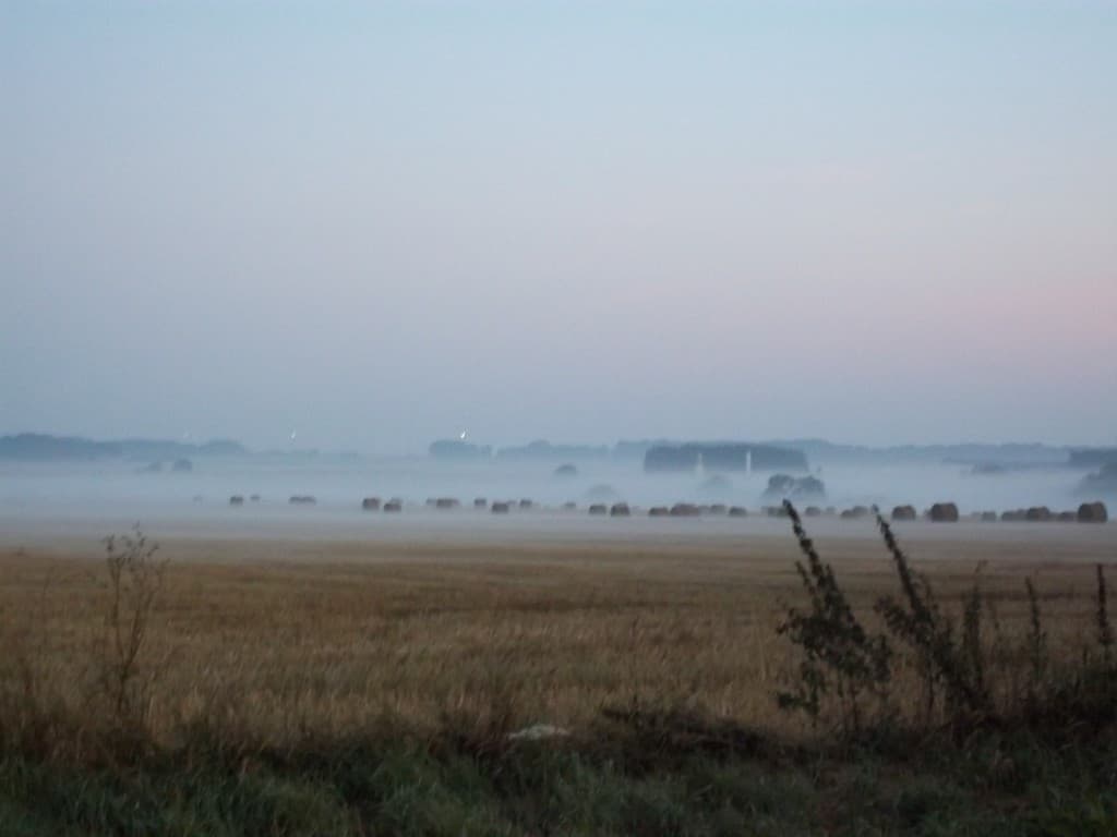 Le soleil à rendez-vous avec la brume !
