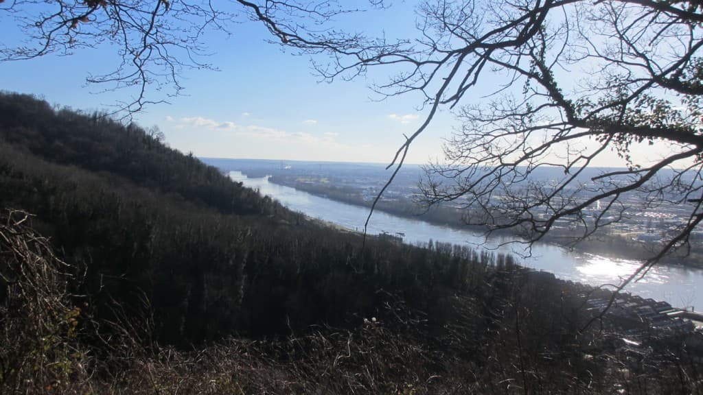 Point de vue 