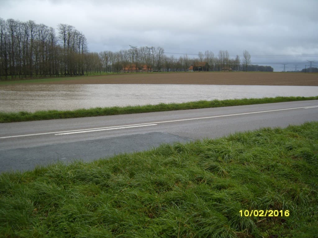 Prairie inondée dans le Pays de Caux
