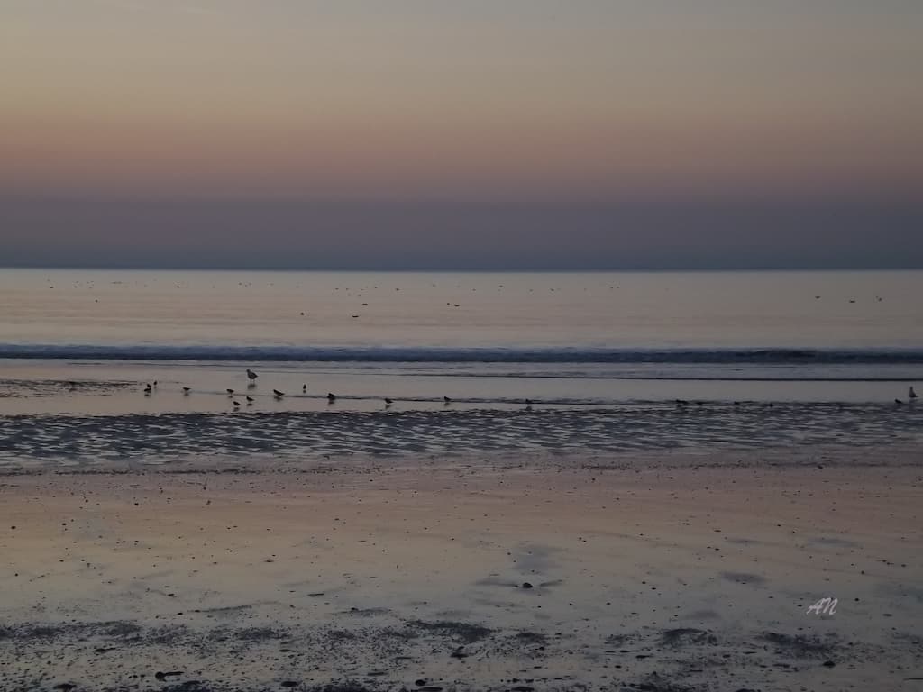 Baignade 