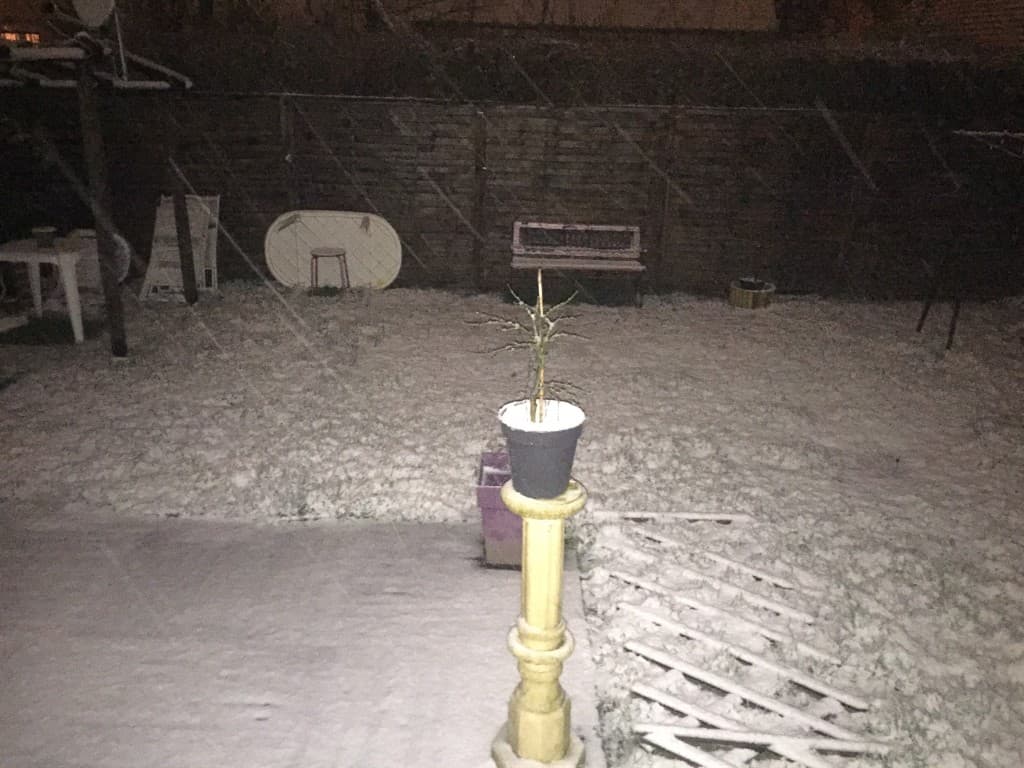 Chutes de neige à Evreux (6h)