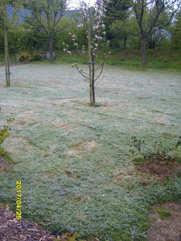 fine couche de grésil