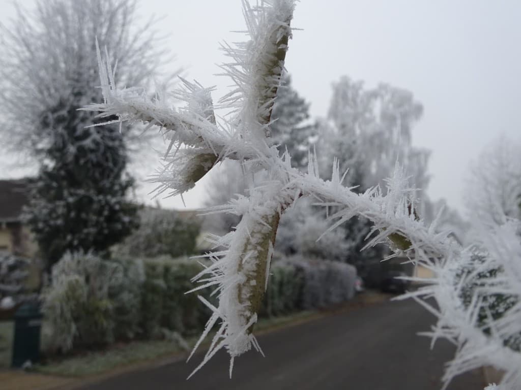 Givre du diable