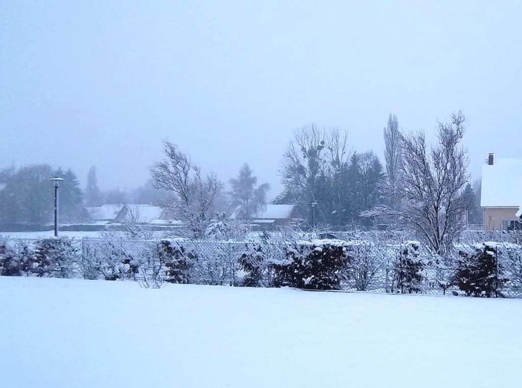 Neige tardive 