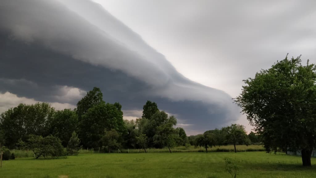 Arcus en formation