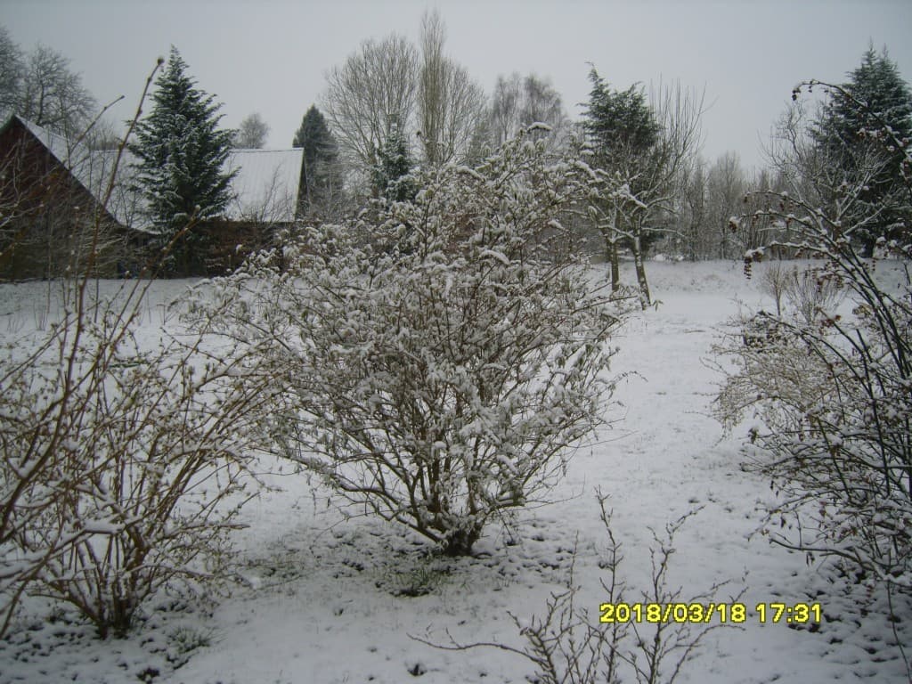 Hiver tardif en Pays de Caux