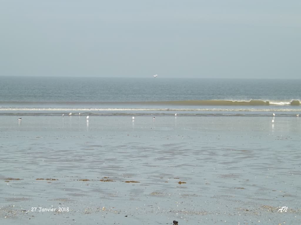 Marée basse, mer calme
