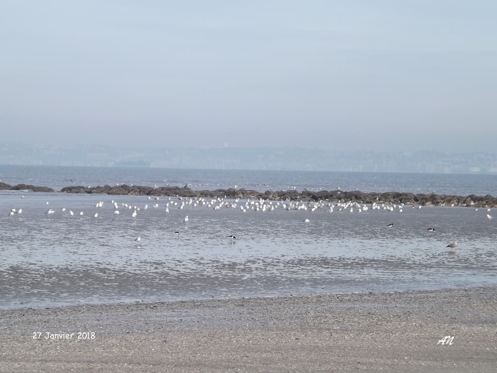 Matinée ensoleillée glacée, il fait 5°C