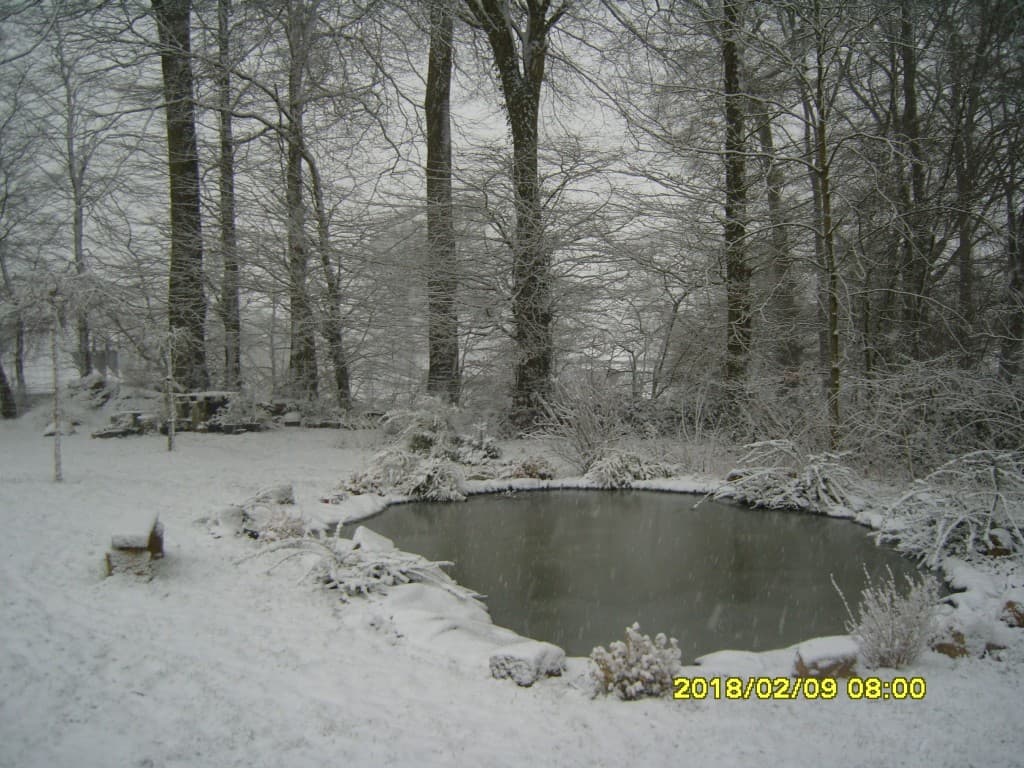 Neige matinale