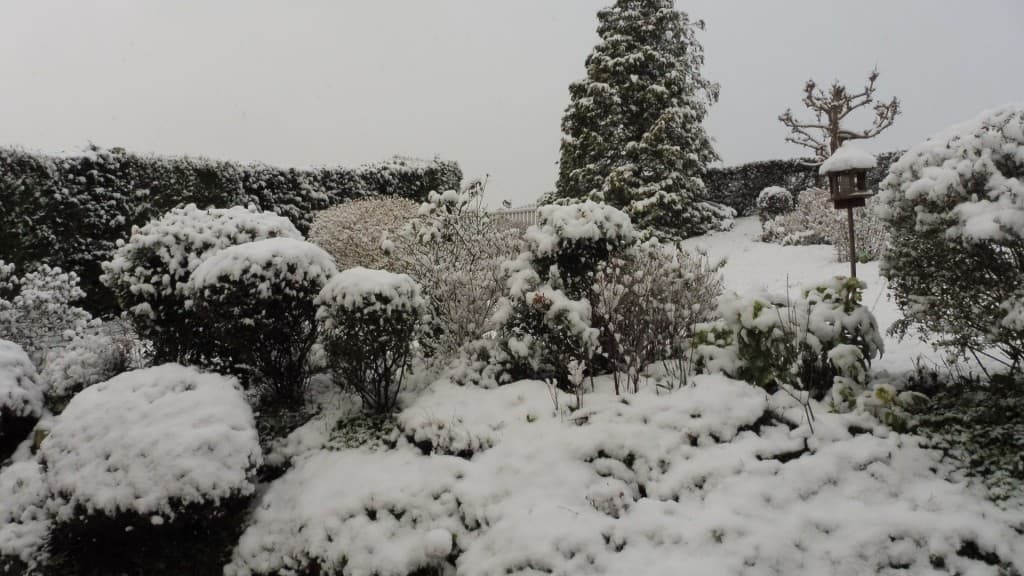 Paysage neigeux 