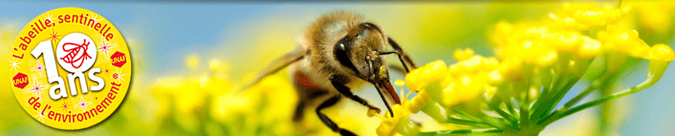 Image d'illustration pour Les abeilles au printemps : l'essaimage