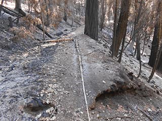 Image d'illustration pour Poursuite des incendies aux Etats-Unis